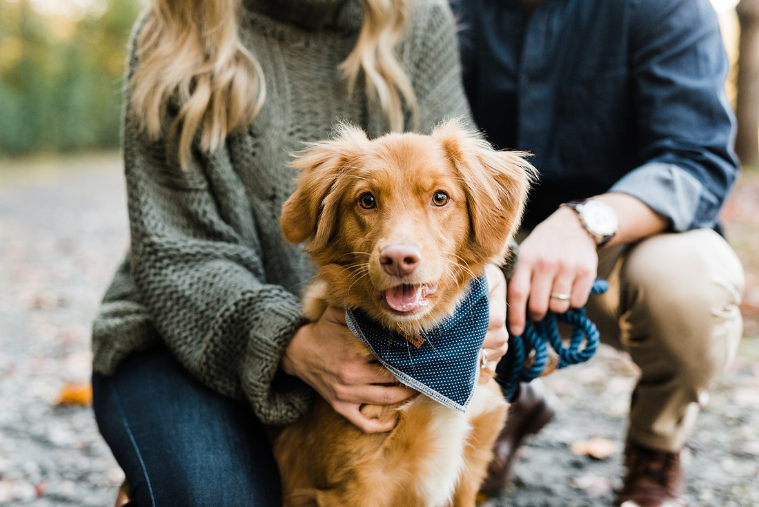 couple smiles with their dog, at a park