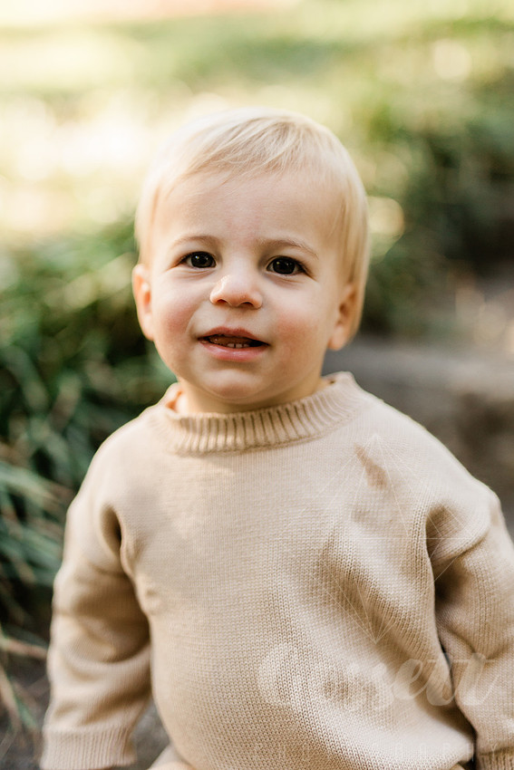 Family exploring a forest trail during a mini session, capturing playful, candid moments.