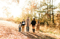 green meadows Family mini session
