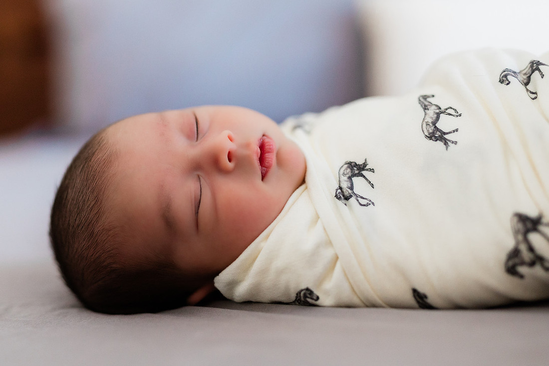 Newborn Photos by Amber Gossett