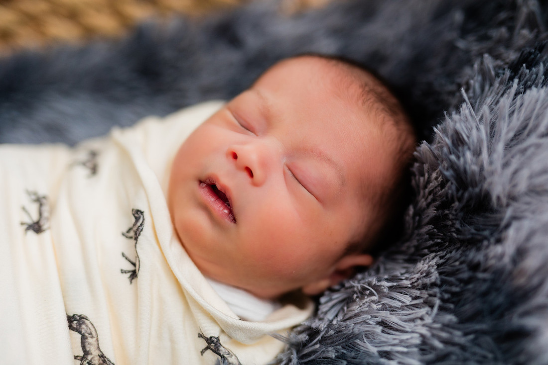 Newborn Photos by Amber Gossett
