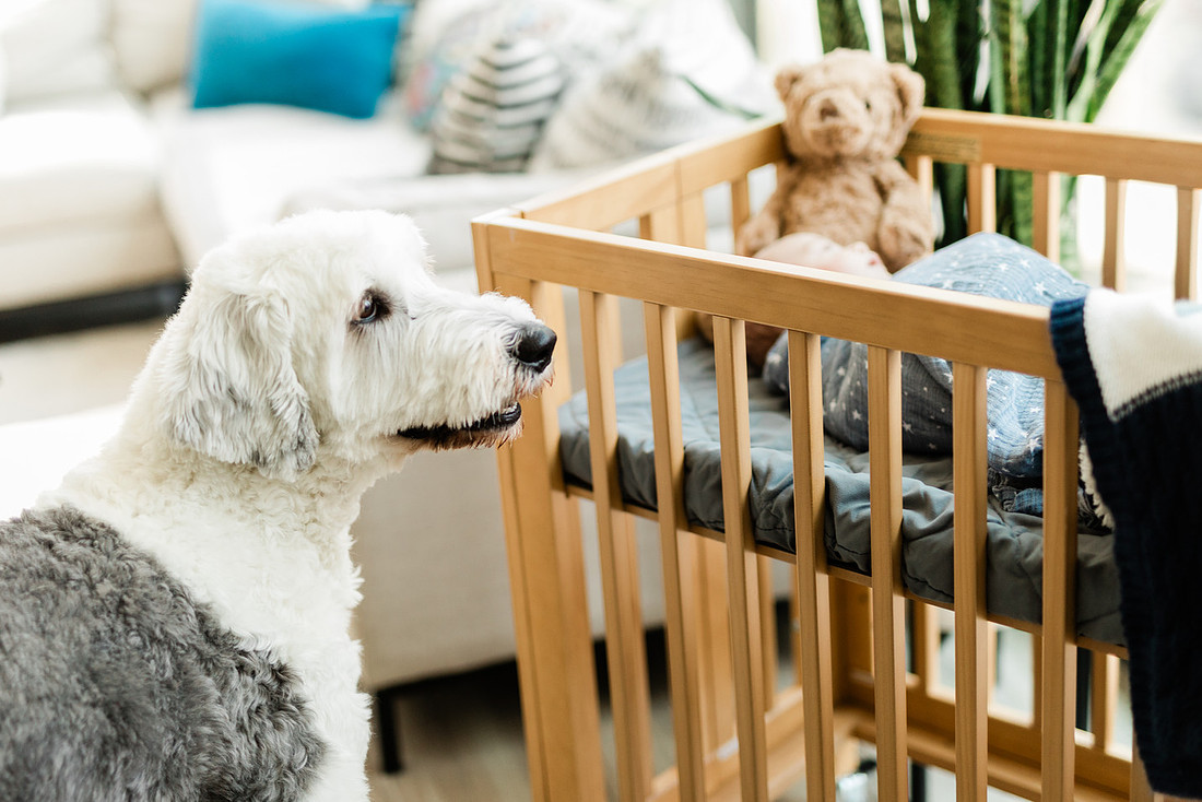 In Home Newborn Lifestyle Session