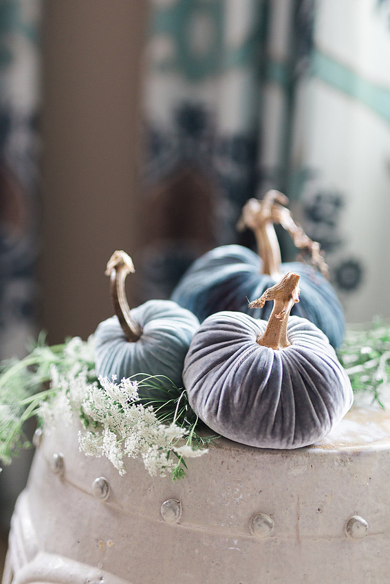 Styled product photo of artisan velvet pumpkins for Etsy shop listing