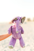 A stuffed animal used as a prop for senior session.