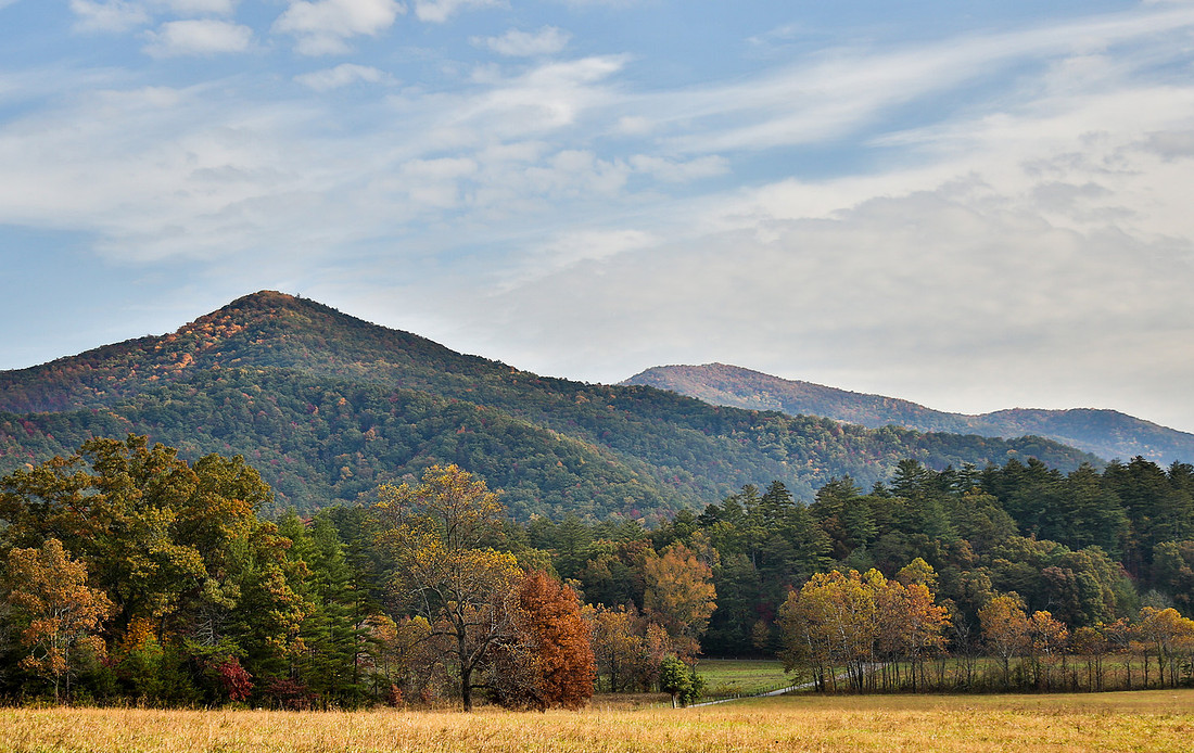 Gossett Photography