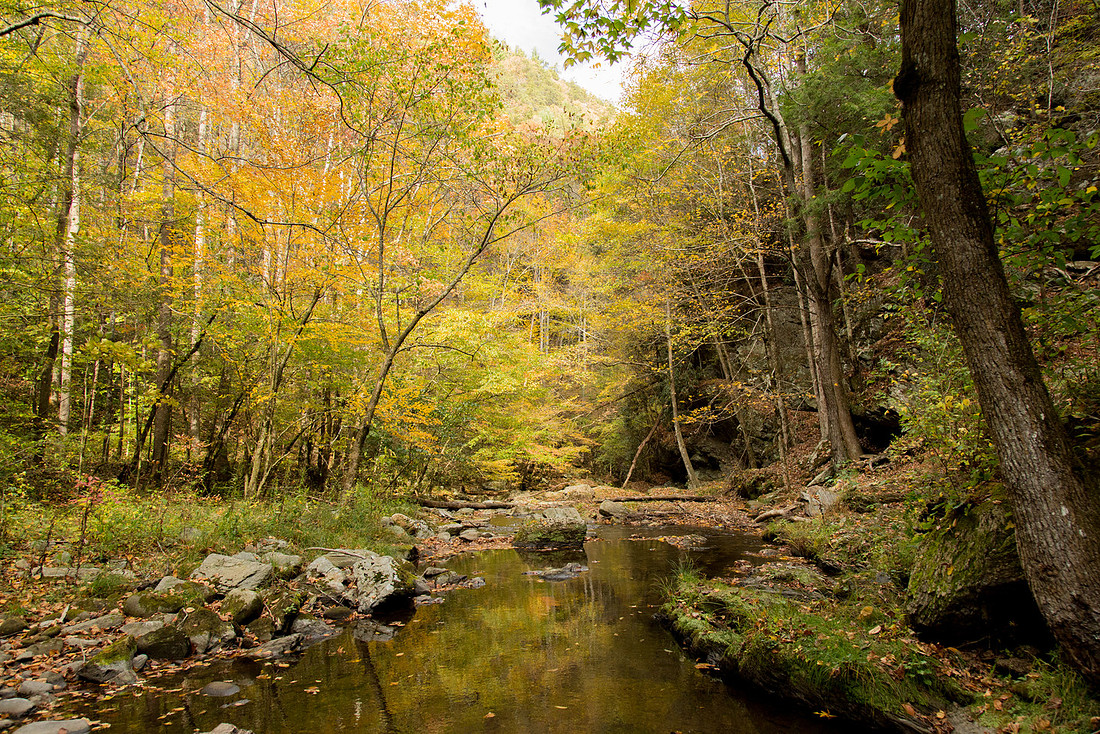 Gossett Photography