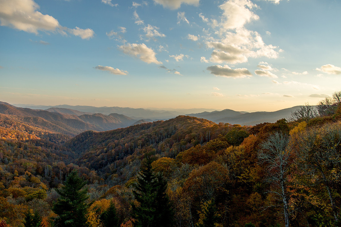 Gossett Photography